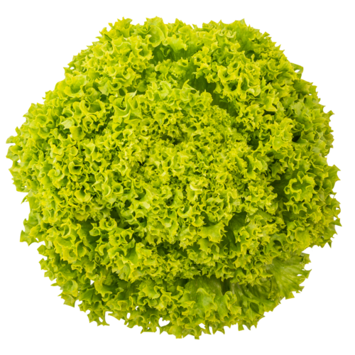 LIMONELO Sb2190