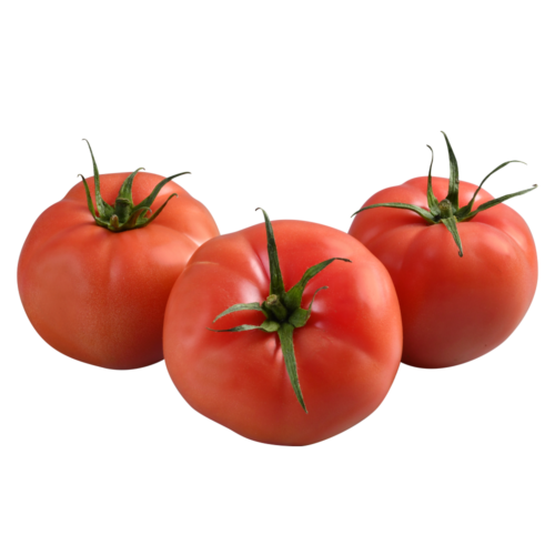 BONBOLYA
