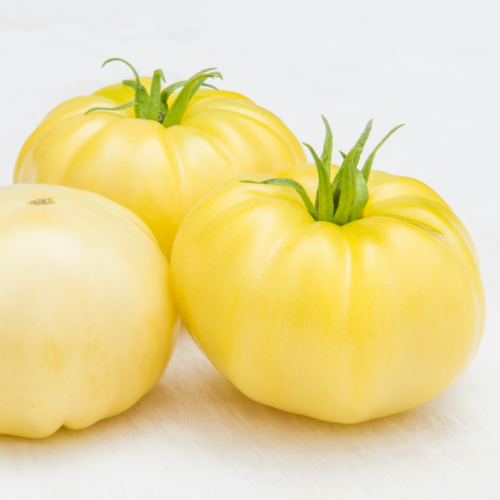 MARVORI