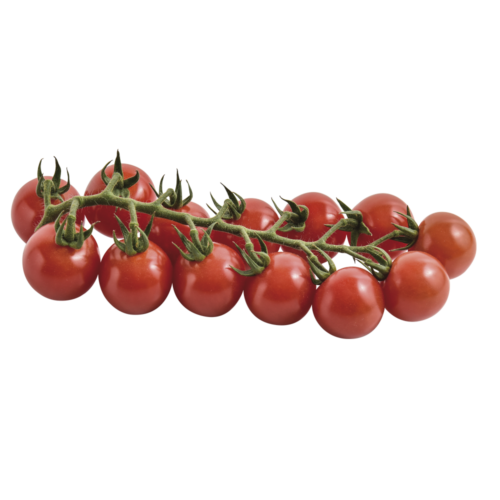 SORENTYNO