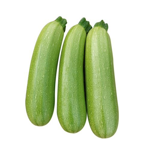 CALISTÉE