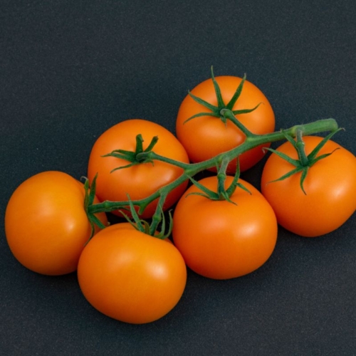ORANGEADE G710